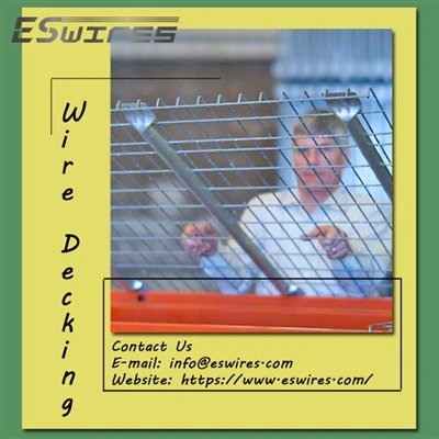 [[TitleNews]]